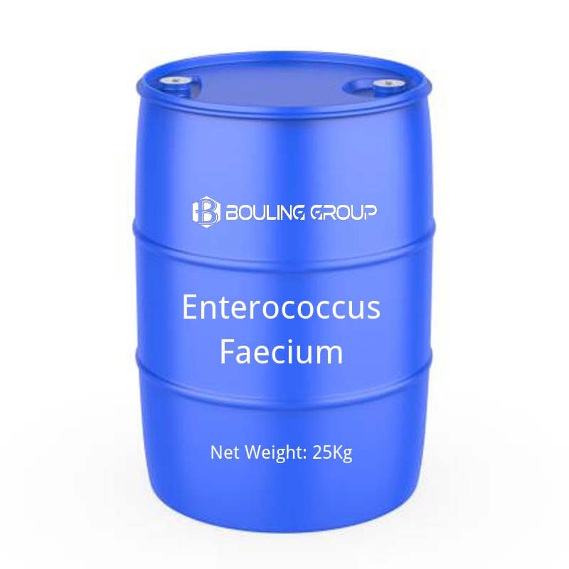 Enterococcus Faecium