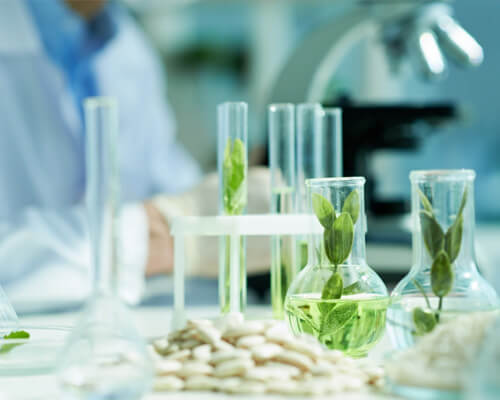 NHU Aroma Chemicals Leads Global Fine Chemical Industry
