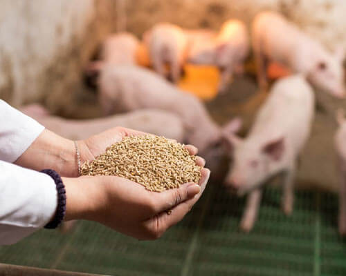 Zhejiang Weier New Animal Nutrition and Additives Co., Ltd.